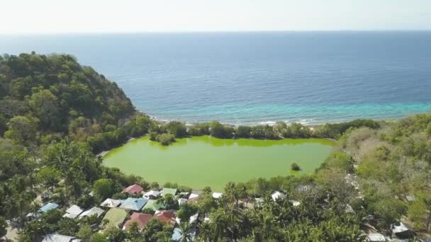 Zöld tó között trópusi fák a szigeten és a tengeri táj háttérben. Drone felvételeket. Légifelvételek a trópusi szigeten, kék tengeri tájon. — Stock videók