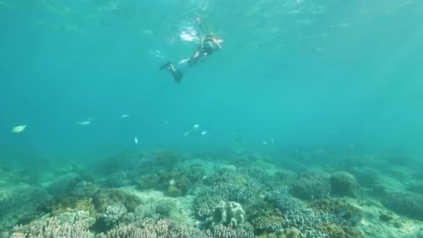 在透明的海水中,斯诺克林女人在水下世界拍照。年轻女子游泳在浮潜面具和管和拍摄视频移动在保护罩. — 图库视频影像