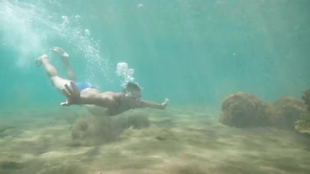 Hombre atlético en inmersiones máscara y nada bajo el agua en el océano mirando la vida silvestre . — Vídeos de Stock