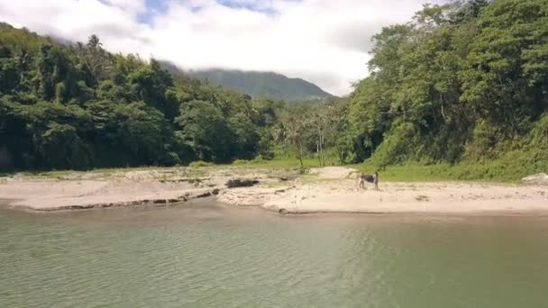 Erkek ve kadın göl kum sahilinde bir çadırı parçalıyorlar, havadan manzara. — Stok video