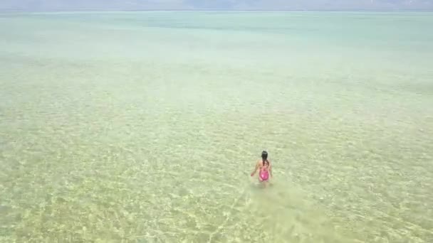 熱帯の島の海の澄んだ水の中を歩く水着姿の少女の航空写真. — ストック動画