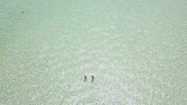 Letecký záznam mužů turistů plavání v letovisku v křišťálově průzračném moři. — Stock video