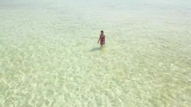해변에서 걷는 젊은 여성의 공중 추적 샷. 드론이 날아다닐 때. — 비디오