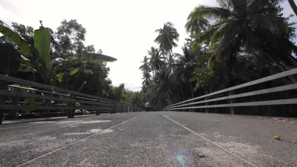 Přední pohled na skútr přes velký most na tropickém místě. — Stock video