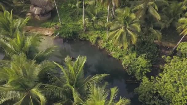 Drone circling flyover above tropical river with floating boat and foliage. — Stock Video