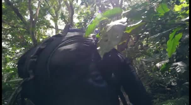 Two tourist men in forest trekking up to the mountain — Stock Video