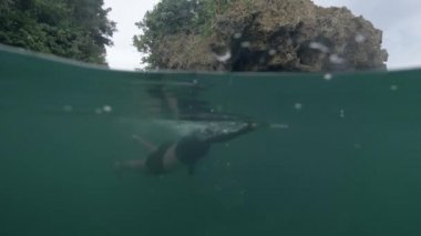 Siyah mayo ile ince bir kadın sakin şeffaf bir denizde yüzer.