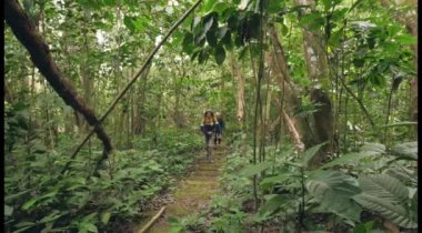 Mutlu bir adam, eski arkadaşıyla birlikte ormanda taş merdivenlerde yürüyor..