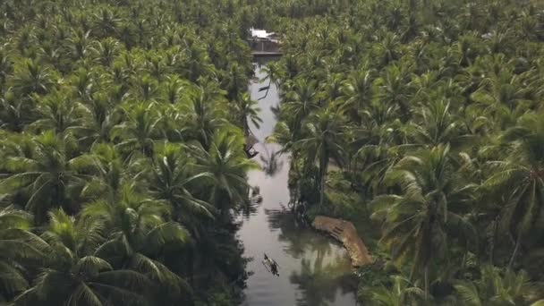 Vzdušné záběry poklidného venkovského místa s širokými kokosovými plantážmi a řekou. — Stock video