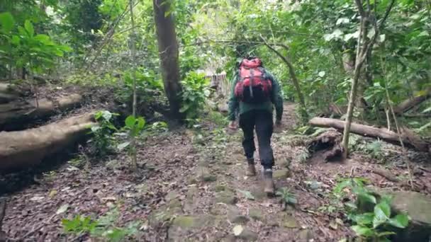 観光客の男性ハイカーバックパッカーは、森のジャングルで山でハイキング, バックビュー. — ストック動画
