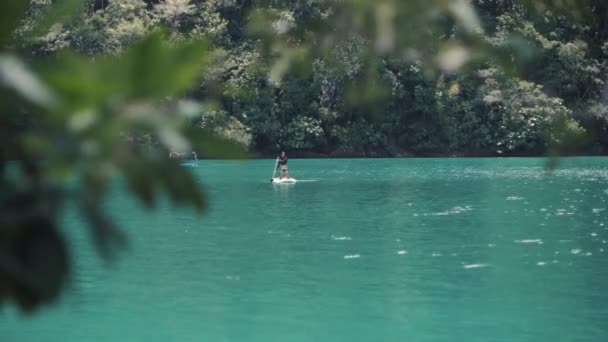 Jovem mulher ajoelhada em um stand up paddle board desfrutar de paddleboarding em uma lagoa — Vídeo de Stock