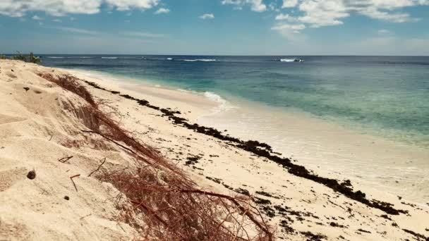 Ruhiger Blick auf den Küstenstrand an Sommertagen, klares Wasser, das das sandige Ufer wäscht — Stockvideo