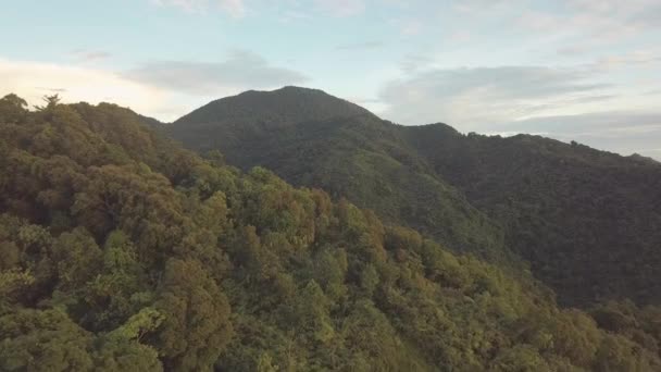 Tropikalny dżungla w górach w słoneczny dzień. Widok z lotu ptaka, zbliżenie. — Wideo stockowe