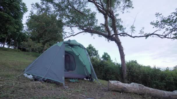 Fiatal nő felébred, és kijön a kemping sátor egy békés reggel — Stock videók