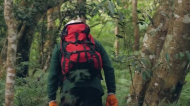 Erkek yürüyüşçüler backpackers tatilde tropikal ormanda trekking grup.