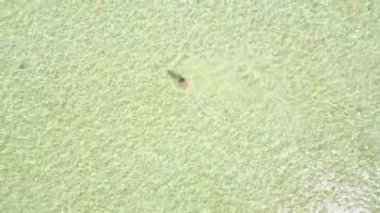 Adada yarı saydam okyanus suyunda yürüyen bir turista areal görünümü.