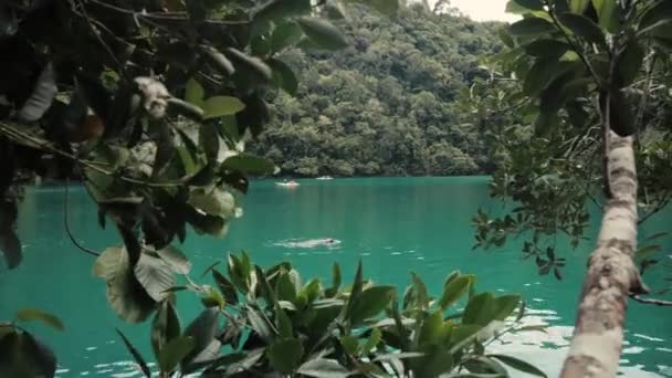 Stunning view of a green lagoon with tourist enjoy kayaking and swimming. — Stock Video