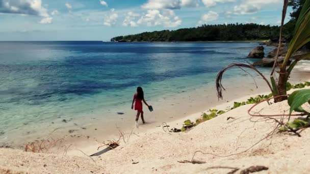 Rückansicht einer Frau, die an einem sonnigen Tag mit klarem blauem Himmel am Meer spazieren geht. — Stockvideo