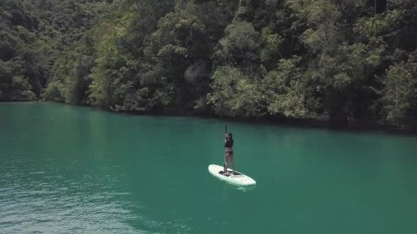 Aerial footage back view of a young woman on paddle board in a green lagoon. — Stock Video