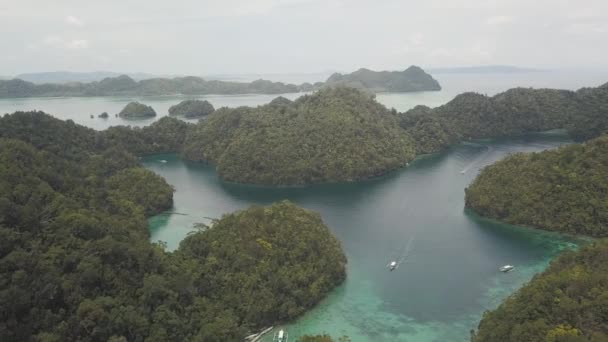 필리핀의 녹색 석호와 열대 우림 언덕의 놀라운 공중 보기. — 비디오
