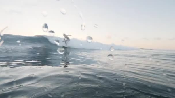 Muž surfař na surfu, jedoucí po východu slunce na vlnách oceánu — Stock video