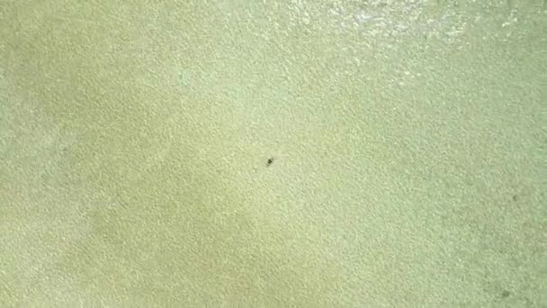 Drone vista de una mujer nadando y caminando en agua transparente en un banco de arena . — Vídeos de Stock