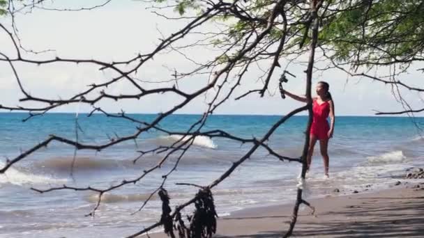 Genç Asyalı vlogger sahilde seyahat videosu çekiyor.. — Stok video