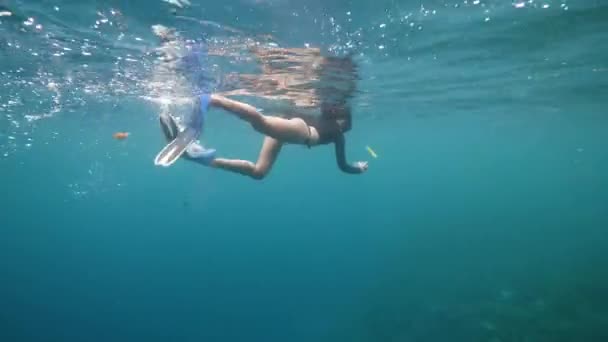 바다에서 스노클링을 하는 한 젊은 관광객 이 전화로 물고기와 산호를 총으로쏘고 있다. — 비디오