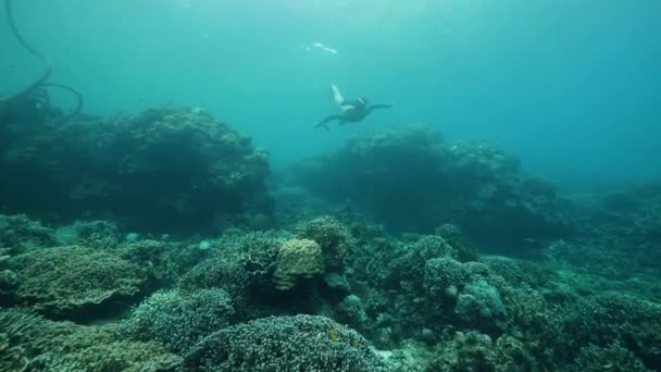 Una mujer en bikini haciendo snorkel en el océano azul con corales y peces tropicales . — Vídeo de stock