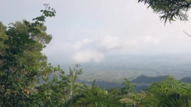Yeşil orman ve dağlardan oluşan güzel bir manzara..