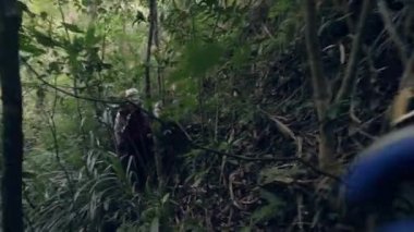 Sırt çantalı yürüyüşçüler Asya ormanlarında zorlu bir yolda seyahat ederler..