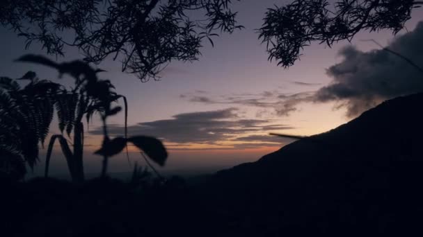Dağların silueti ve yapraklar akşam resimli gökyüzüne karşı. — Stok video