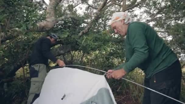 Dos hombres viajeros excursionistas turistas instalando tienda de campaña en el bosque de camping en la selva . — Vídeos de Stock