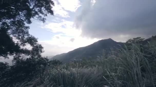 Naturlig bakgrund med gräs, träd, bergslandskap, molnig himmel på kvällen. — Stockvideo
