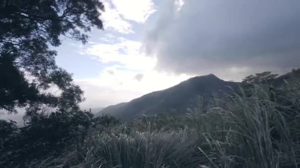 Sfondo naturale con erba, albero, paesaggio montano, cielo nuvoloso in serata . — Video Stock