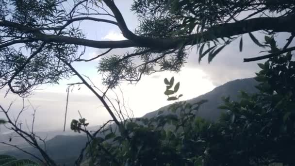 Mavi ve beyaz gökyüzüne ve dağların siluetine karşı yeşil orman ağaçları. — Stok video