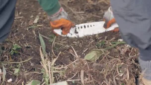 Man digging dry soil with straw using machete, hands in gloves closeup. — Stock Video