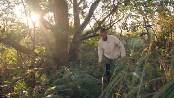 Junger Mann Wanderer Trekking im Wald Dschungel im Sommer bei sonnigem Tag. — Stockvideo