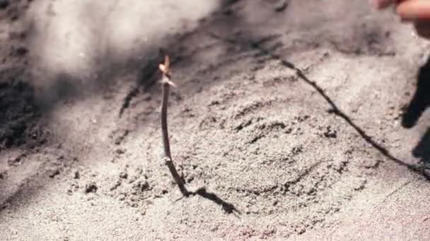 Ein Mädchen spielt Zweige auf dem Sand am Strand. — Stockvideo