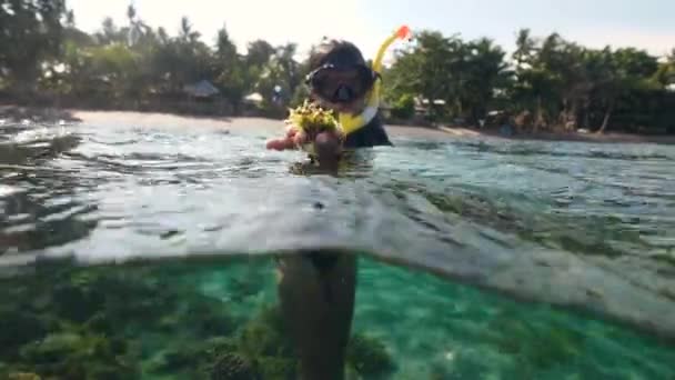 Split tiro de snorkeling mulher em máscara mostrando algas para a câmera . — Vídeo de Stock