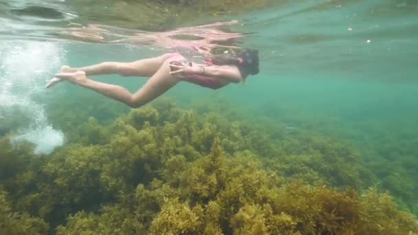 Vista subacquea di snorkeling donna che nuota nell'oceano con prato di alghe . — Video Stock