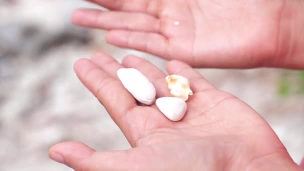 Uma jovem mulher mão segurando conchas . — Vídeo de Stock