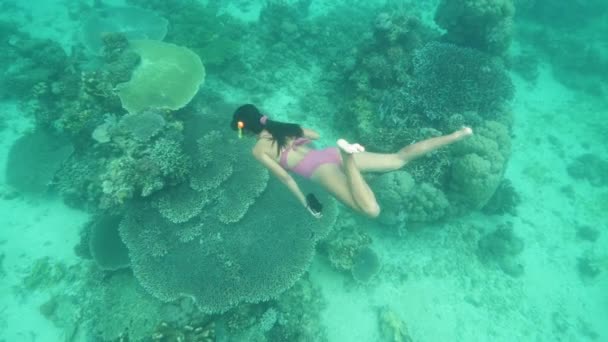 Underwater view of a woman in a sexy swimsuit swimming near corals. — Stock Video
