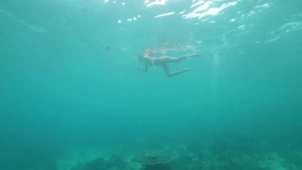 Unrecognizable woman in a swimsuit swimming in the blue ocean. — Stock Video