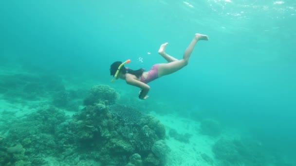 가느다란 어린 암컷 스노 클러 가 바다 밑에서 헤엄치며 산호를 보고 있다. — 비디오