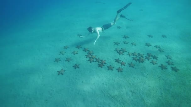 Um homem livre nadando sob o oceano azul com peixes estrela no fundo do oceano arenoso . — Vídeo de Stock