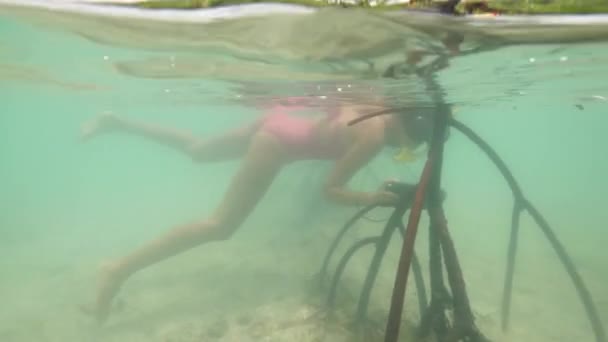 Split view: Vrouw die snorkelt en foto 's maakt bij mangrove boomwortels. — Stockvideo