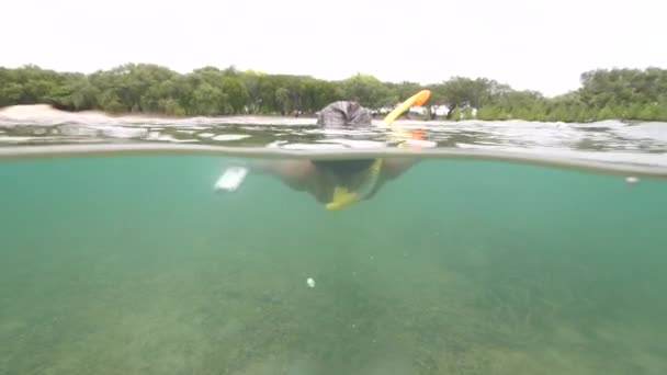 Vista dividida de mulher snorkeling no oceano com corais mortos no fundo do oceano . — Vídeo de Stock