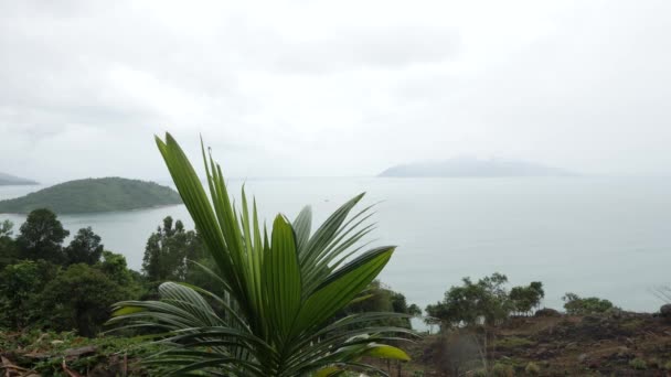 Feuilles de palmier se balançant sur le fond des îles tropicales brumeuses et de l'océan . — Video