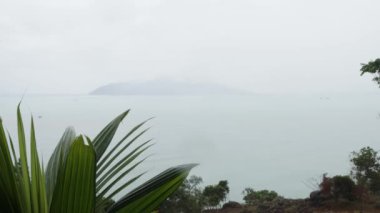 Palmiye yapraklarının sallandığı sisli bir tropik adanın dramatik manzarası.